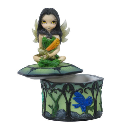 Trinket Box - Fairy Frog Friends - Notbrand